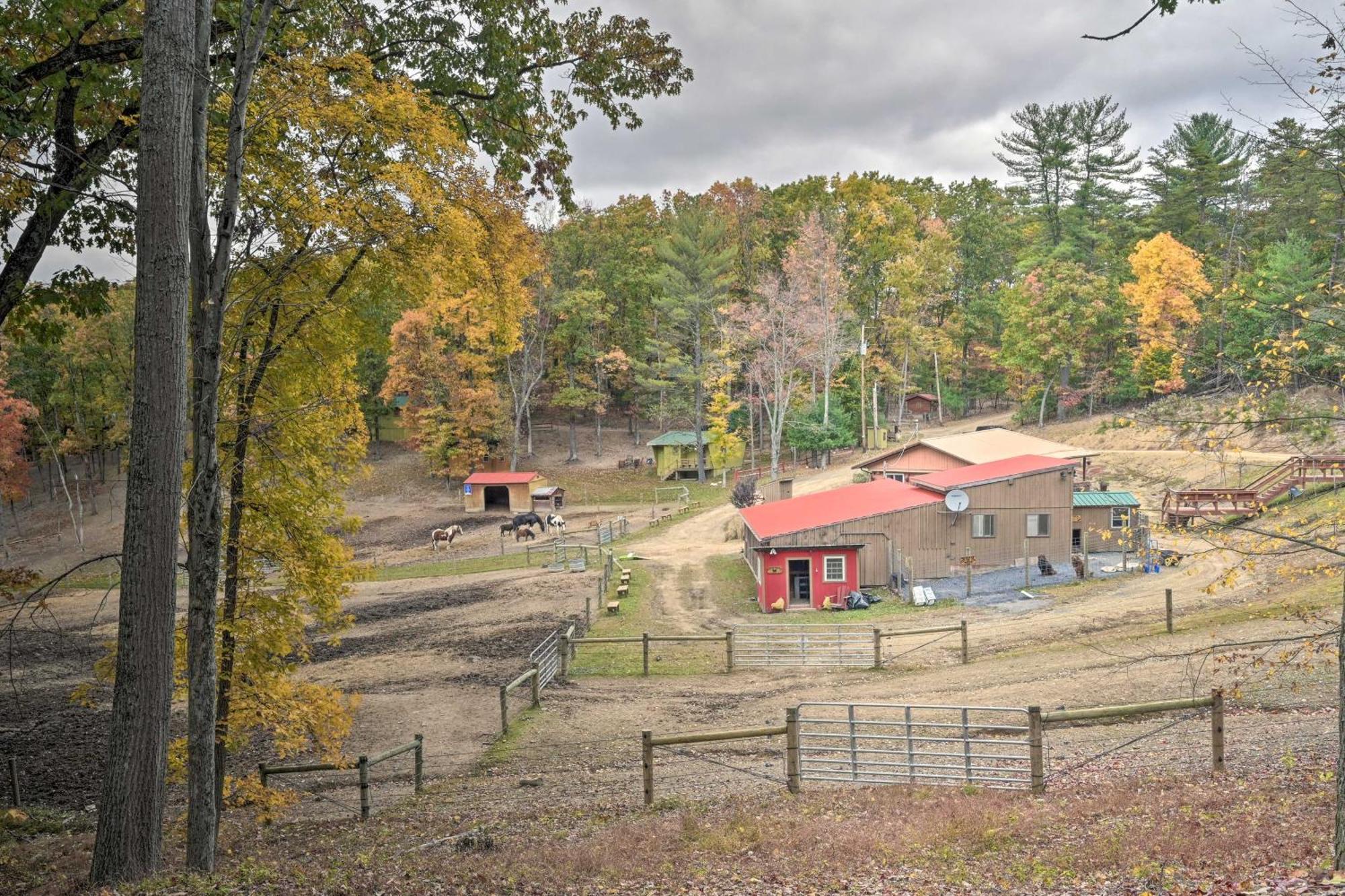 Lone Ranger Cabin With 50 Acres By Raystown Lake هنتينجتون المظهر الخارجي الصورة