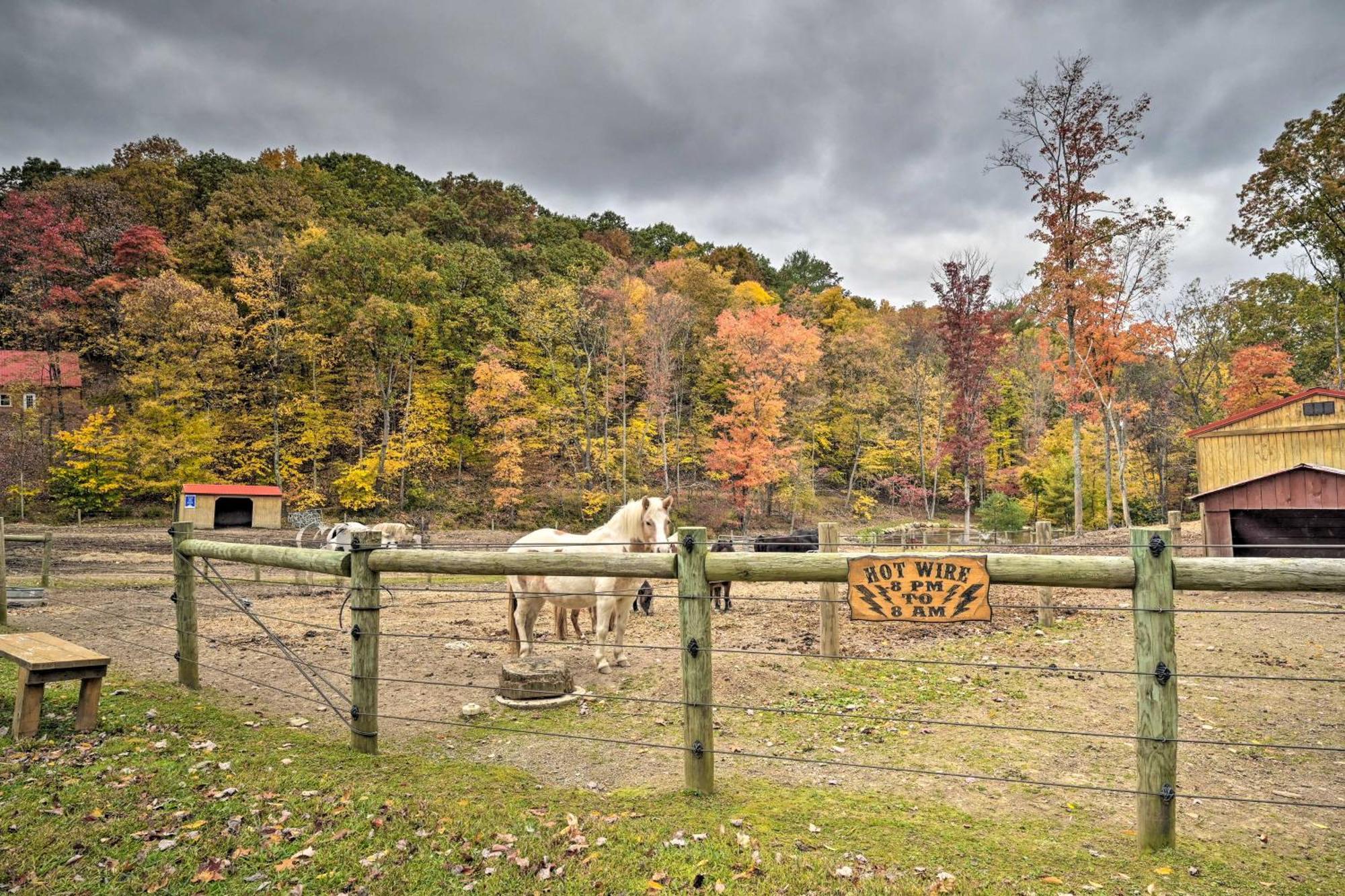 Lone Ranger Cabin With 50 Acres By Raystown Lake هنتينجتون المظهر الخارجي الصورة